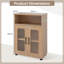 Accent Chest-776423342