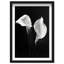 Calla Lily Print by Oliver Gal-1579108217-1579108218