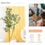Faux Fiddle Leaf Fig Tree in Cement Pot-1580831051
