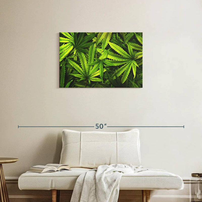 Jardin de feuilles de marijuana, H 20 po x l 30 po