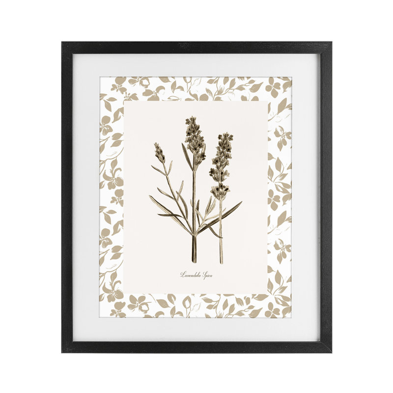 «Neutral Imperial Herb Study», reproduction sous verre encadrée, design par Kelly Donovan, Cadre noir minuit