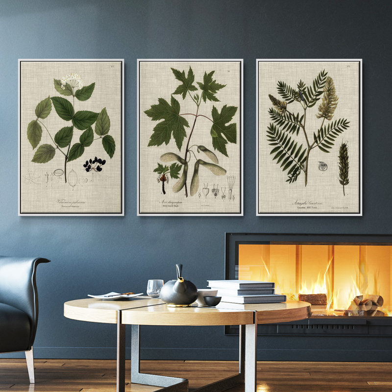 Knorr Shells & Coral VI, ensemble de 3 toiles encadrées sur toile, H 40 po x l 78 po, Cadre blanc