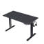 Bureau électrique debout à hauteur réglable, bureau spacieux de 24 po x 48 po, parfait pour la maison et le bureau