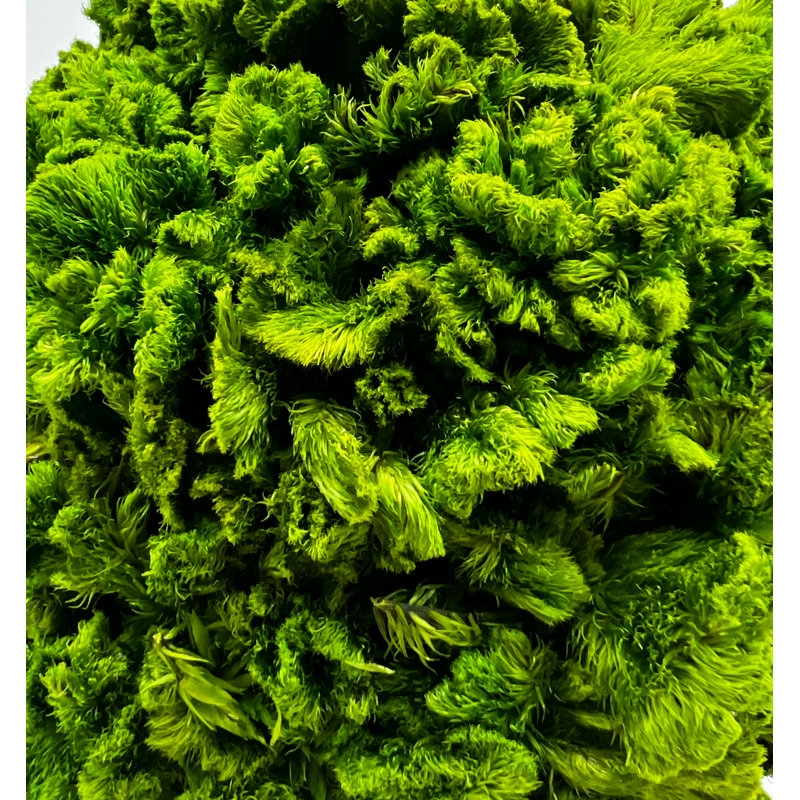 Paire de plantes topiaires en pot 17 po