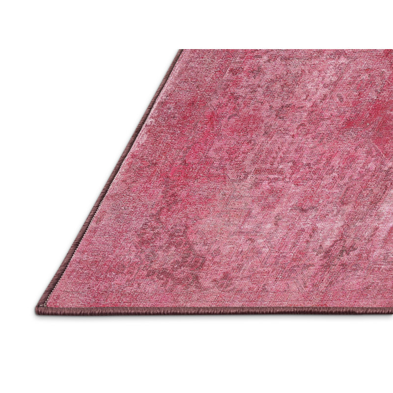 Tapis traditionnel lavable à la machine Ahmyra, Tapis de couloir 2 pi x 5 pi