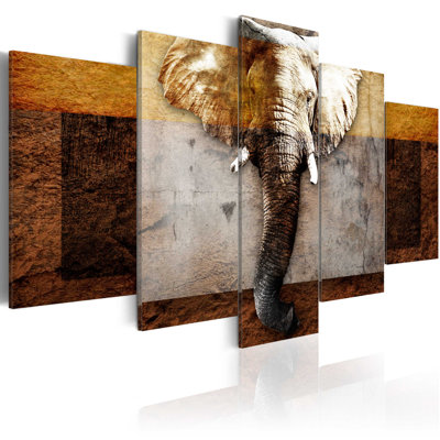 " Strength Of Africa " 5 - Pieces