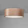 Leni LED Outdoor Flush Mount