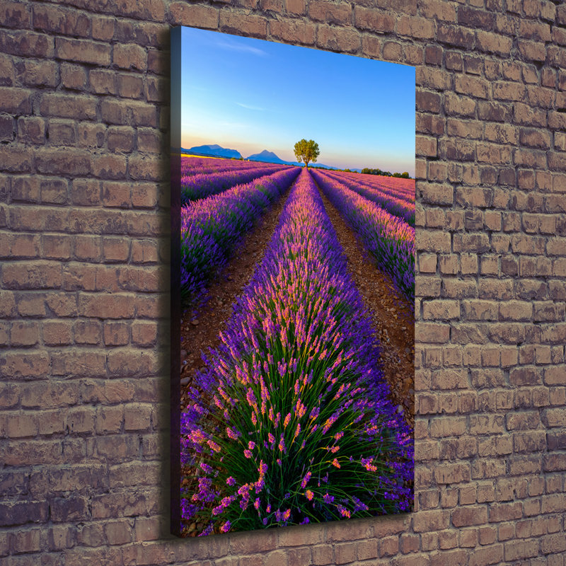 Lavender Field - Wrapped Canvas Print