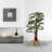 Panama Faning Floor Palm Tree