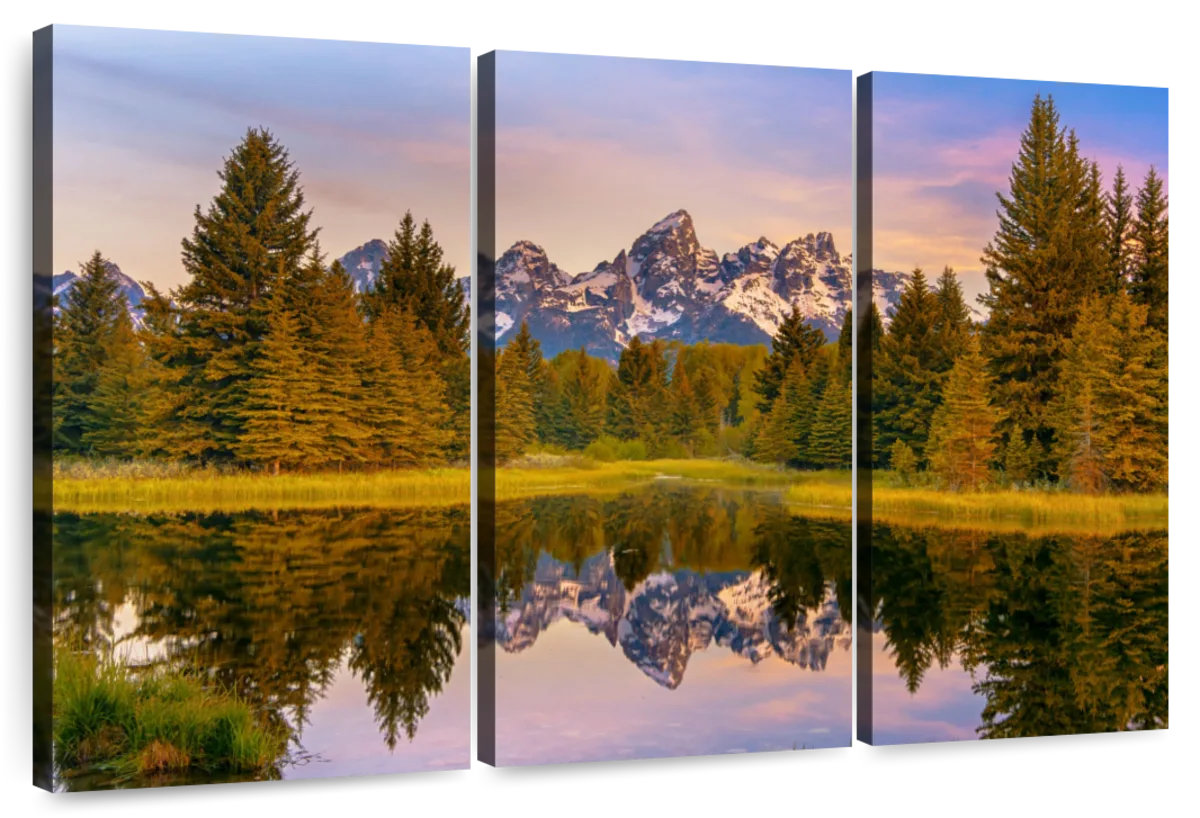 Millwood Pines Alvord Grand Teton Pine Forest Reflection - Wayfair Canada