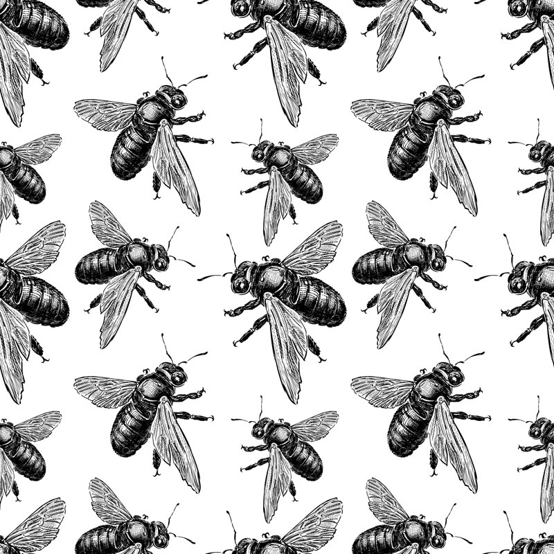 Watonga Bumblebees - Wrapped Canvas Print, 30cm H x 30cm W x 3.8cm D