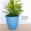 Jardinière intérieure / extérieure en plastique recyclé Dayton avec soucoupe attachée-1236818573-1236818575