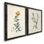 Toile encadrée de qualité supérieure Traditional Botanical III - prête à être accrochée-167555290-167555268