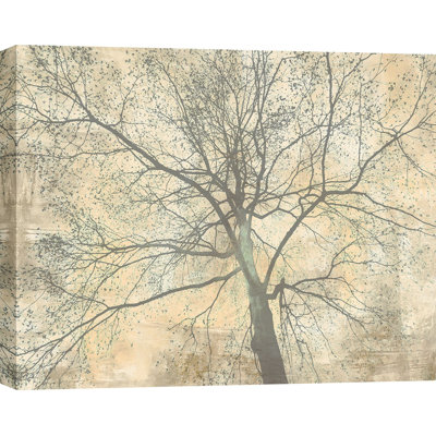 3AI6377 Below My Tree II by Alessio Aprile - Wrapped Canvas Art Prints