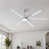 Brushed Nickel selected