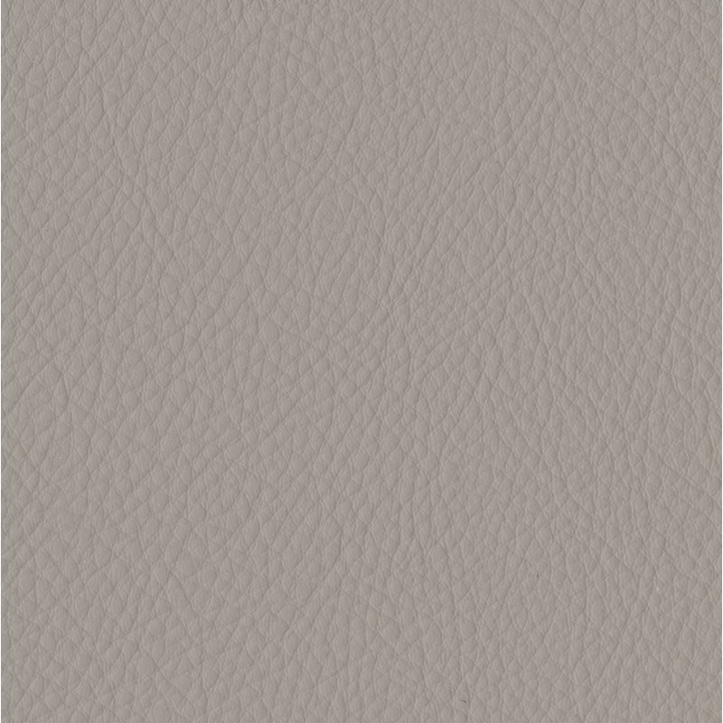 Elan LightGrey Sample