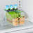 YouCopia RollOut Fridge Drawer, 8", Rolling Fridge Organizer with Adjustable Dividers