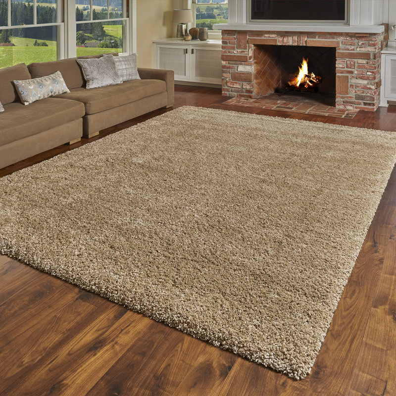 Tapis d'intérieur à poils longs Mosman Mosman, Rectangle 5 pi 3 po x 7 pi 5 po