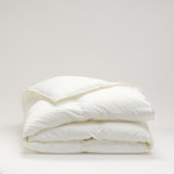 Cuddledown Chroma Down Comforter