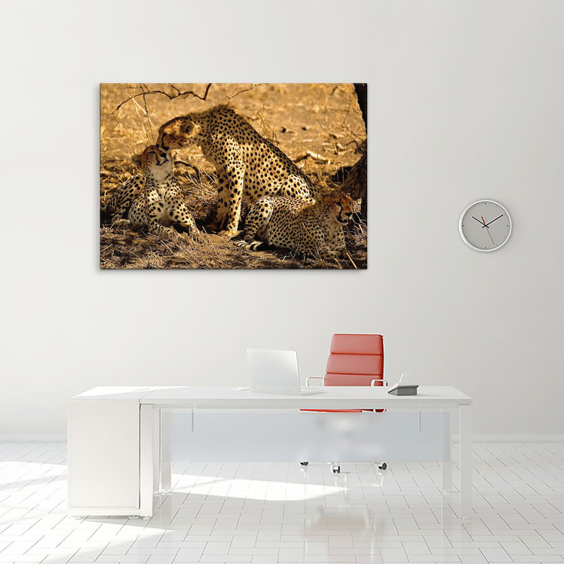 Print on Canvas, 100cm H x 150cm W x 4cm D