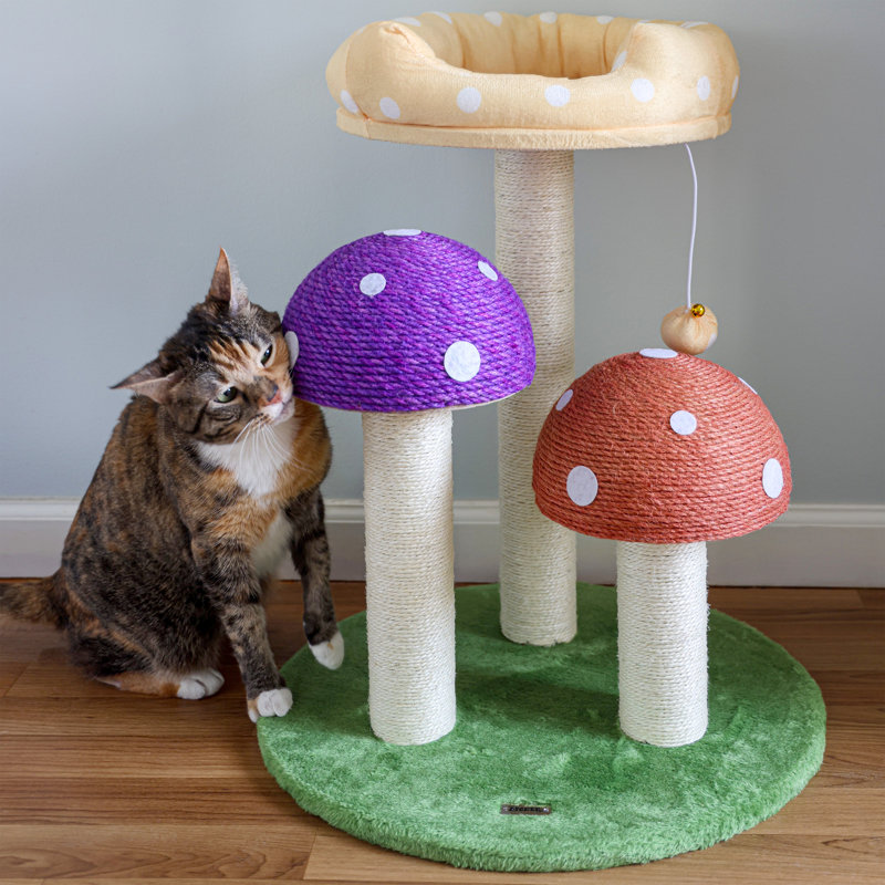 Arbre à chat H 22,5 po Endra, Multi