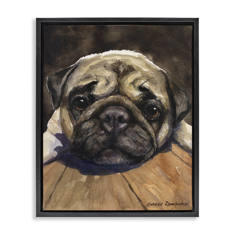 Cadre flottant Pug Soulful Portrait, conception de George Dyachenko, Cadre flottant noir de jais, H 21 po x l 17 po