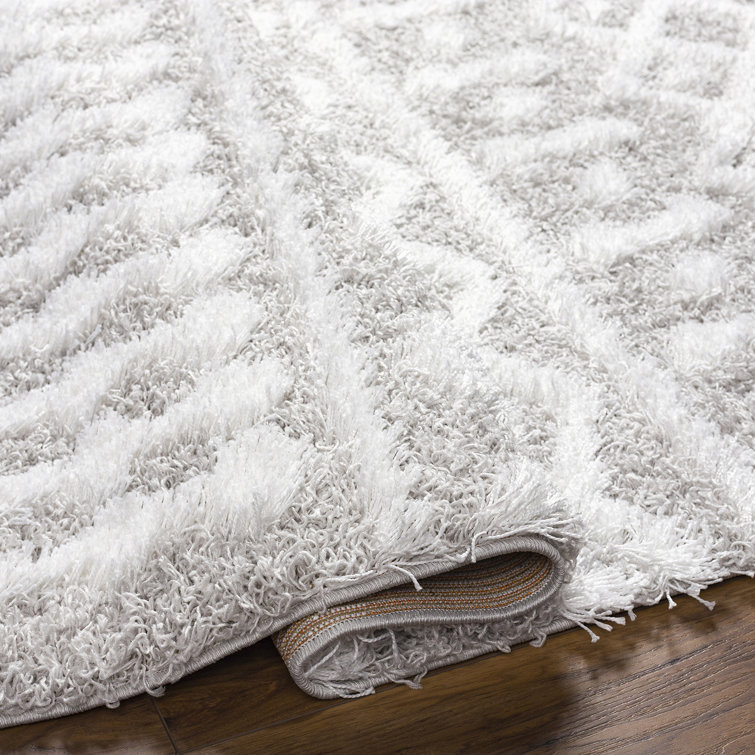 Oriental Shag Area Rug