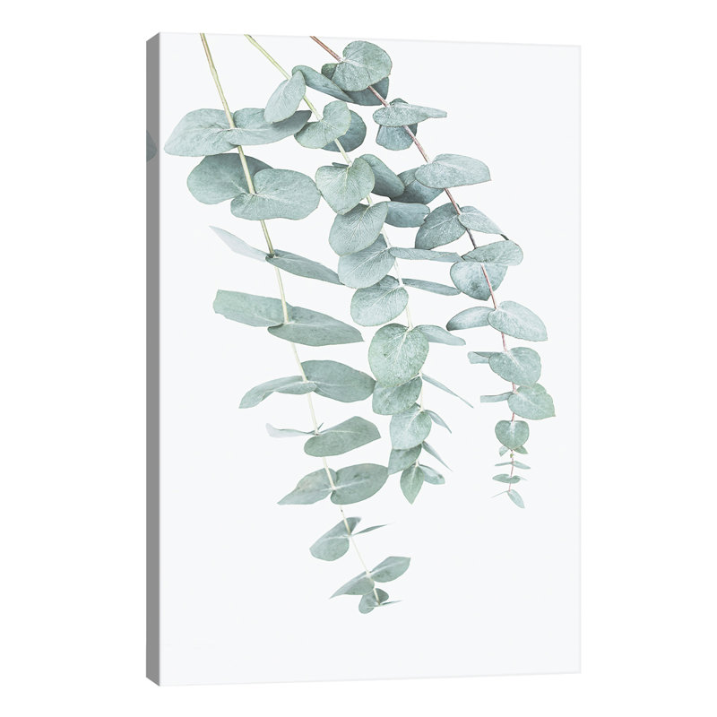 Eucalyptus II - Wrapped Canvas Print, 101.6 cm H x 66.04 cm W x 1.91 cm D