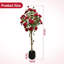 Arrangement-1838050009