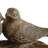 Varja Nesting Bird Dish 9x7.5x5" Brown