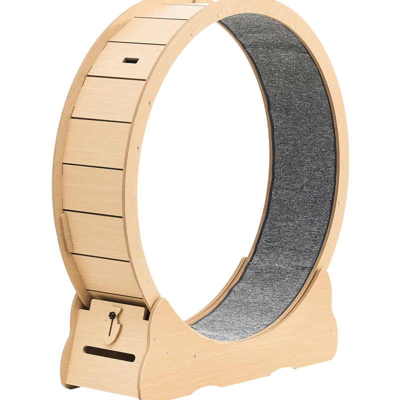 Roue d'exercice pour chat de 48 po en bois, tapis roulant pour chat avec et espace de sécurité, pour l'intérieur jusqu'à 28 livres, aide à rester en forme, grands chats de taille moyenne, ensemble d'accessoires fonctionnant à verrouillage silencieux,
