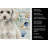 Miniature White Poodle Coastal Sea Glass Kitchen Towel-871463971
