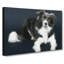 Resting Border Collie Dog - Wrapped Canvas Print-55323591