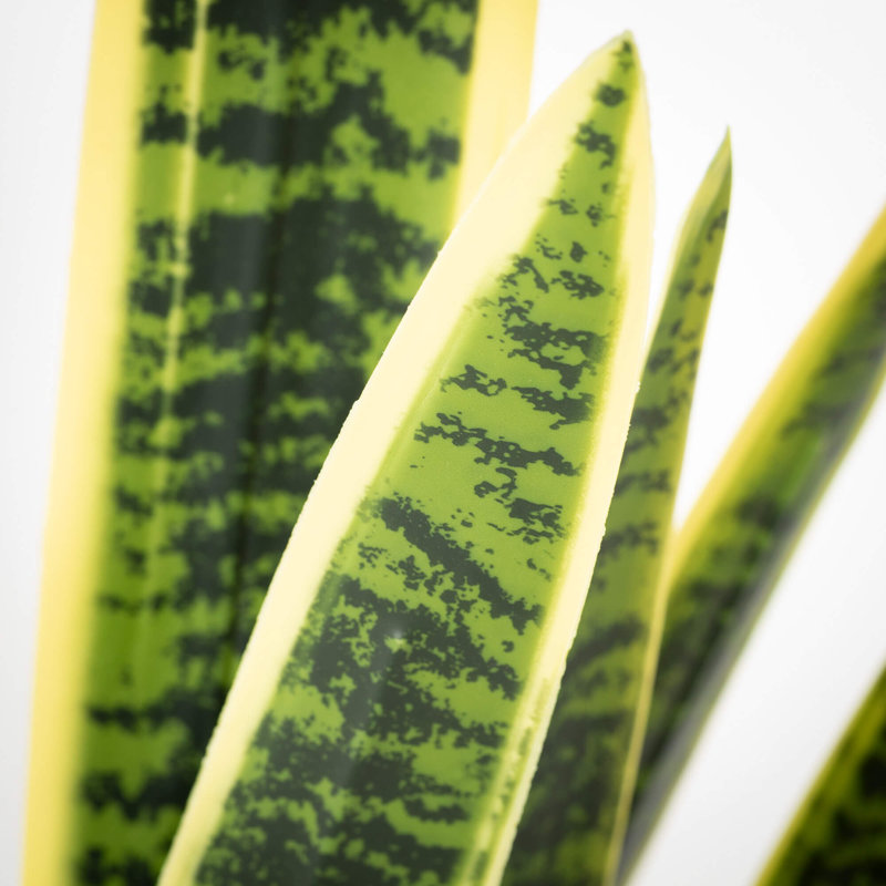 Plante artificielle Sansevieria en pot 2 pi 22 po; vert