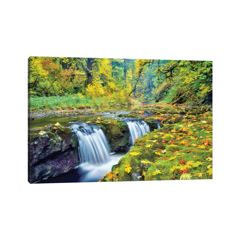 Tiny Falls by Dennis Frates - Wrapped Canvas Print, 20.32 cm H x 30.48 cm W