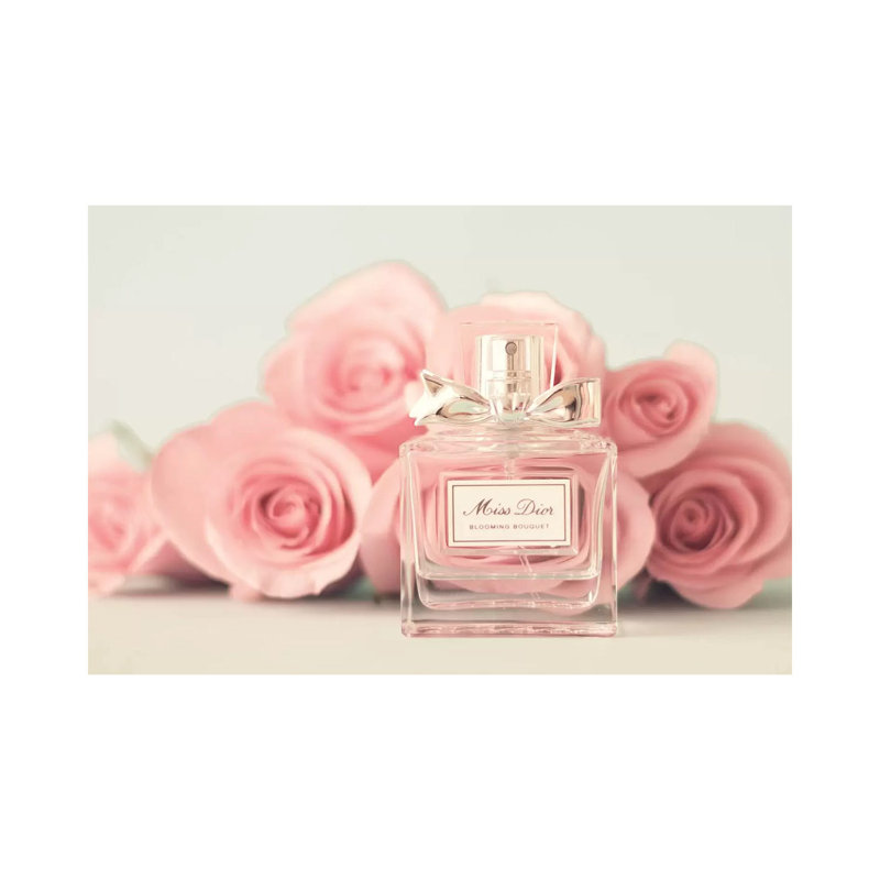 Young And Pink by Caroline Mint - Print on Canvas, Wrapped Canvas, 20.32 cm H x 30.48 cm W