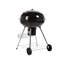 Dakota Fields Ajsha 58cm W Kettle Charcoal Grill