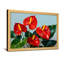 Plantes et fleurs fleurs d'anthurium rouges avec feuilles vertes-1367718499-1367718497-1367718431