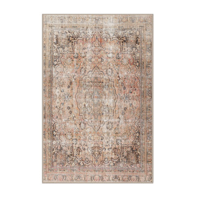 Oriental Indoor Rug