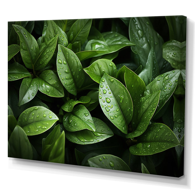 " Green Plants Field ", Wrapped Canvas, 30" H x 40" W