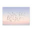 Nature Inspired Sunset Flight by  - Picture Frame Photograph on Paper-131293178-131293181-131293182