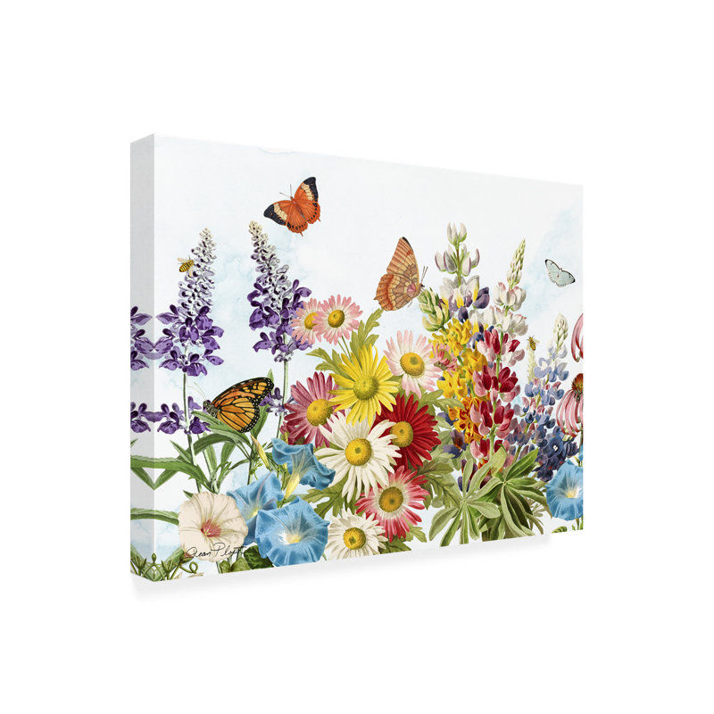 Jean Plout Summer Butterfly Garden Beauty B Canvas Art, H 14 po x l 19 po x P 2 po