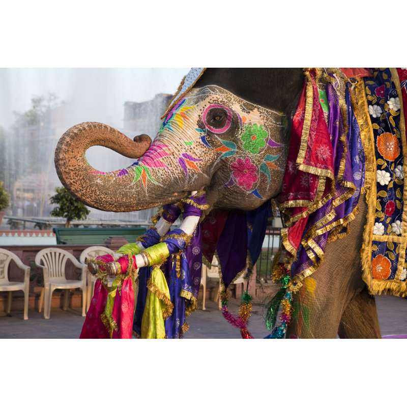 Gangaur Festival Elephant In Jaipur, India by OSTILL - Wrapped Canvas Print, 30cm H x 46cm W