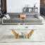 Table basse rectangulaire moderne en acier inoxydable, table basse en verre trempé transparent double couche, table centrale avec rangement, pour le bureau à domicile, assemblage facile
