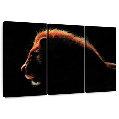Lion africain Brampt au crépuscule