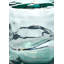 Handmade Glass Floor Vase-112511879