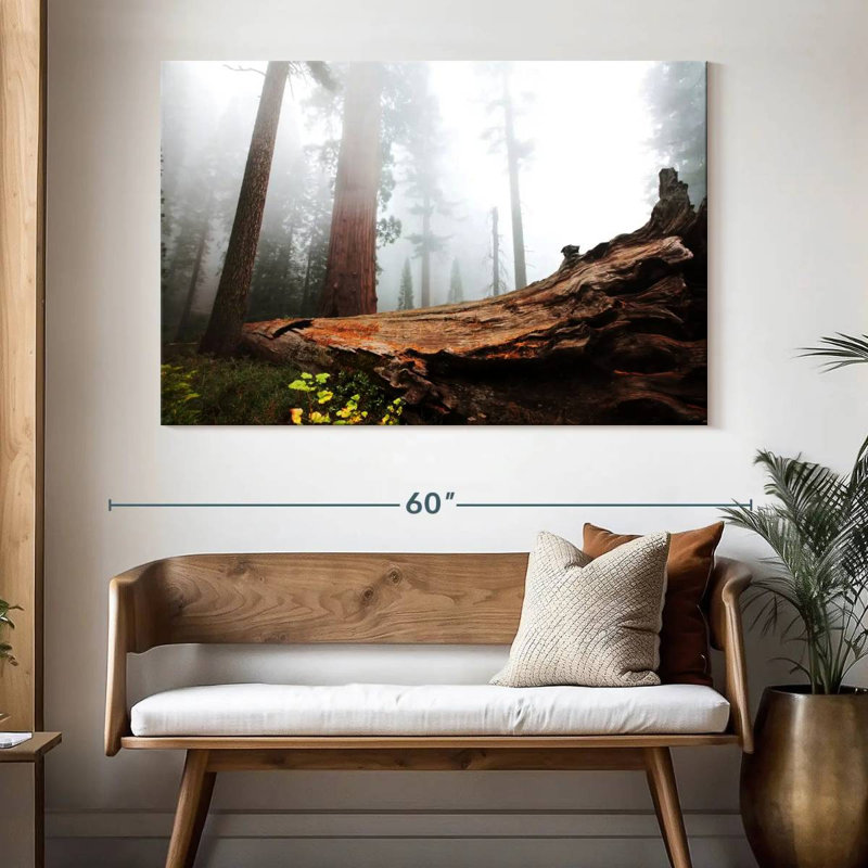 Harnek Fallen Sequoia Tree, 34'' H x 51'' W