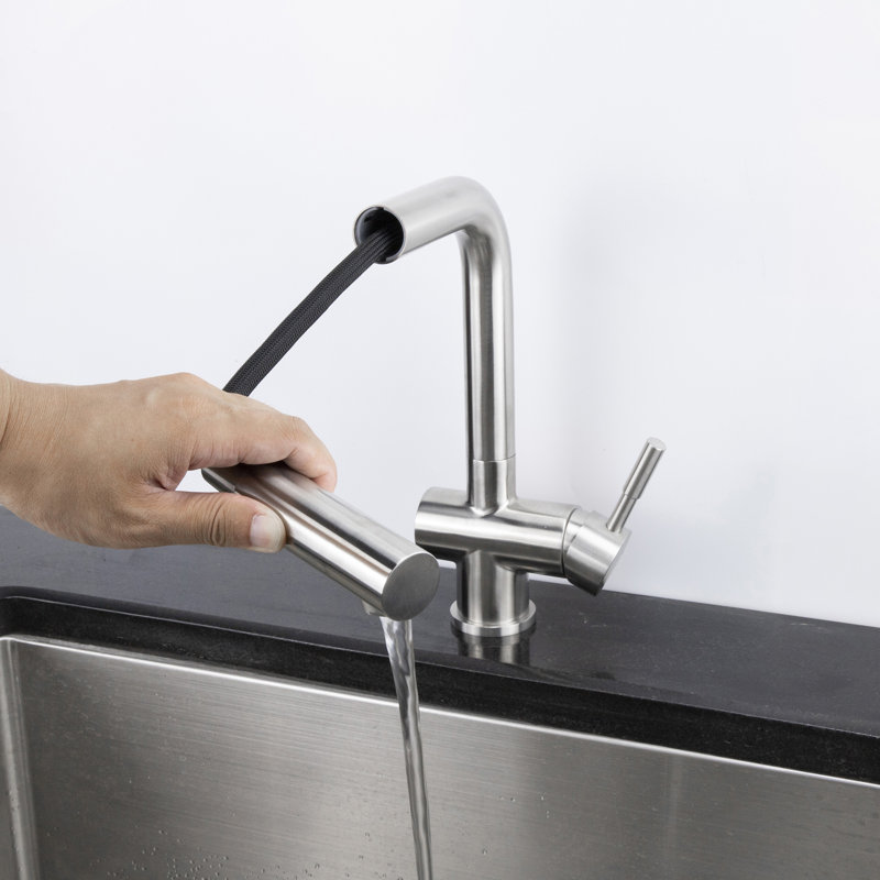 Belfry Kitchen Gaiser Pull Out Kitchen Faucet