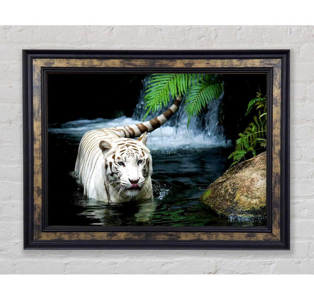 White Tiger Beautiful - Einzelner Bilderrahmen Kunstdrucke