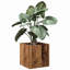 Iveson Planter Box-1603078686